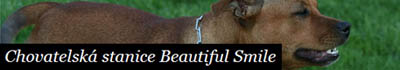 Chovatelská stanice Beautiful Smile